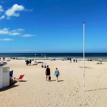 Awesome In With Wifi * Oostende
